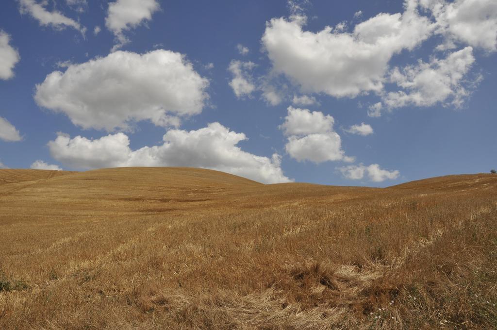 Agriturismo Podere Campaini โวลแตร์รา ภายนอก รูปภาพ