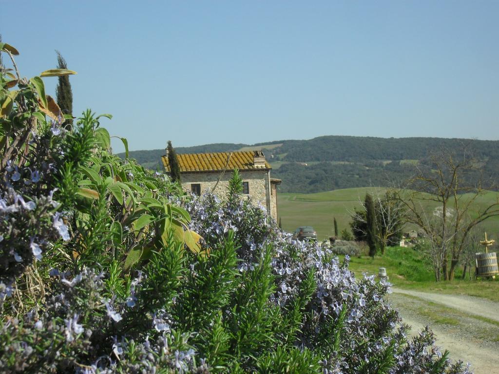 Agriturismo Podere Campaini โวลแตร์รา ภายนอก รูปภาพ