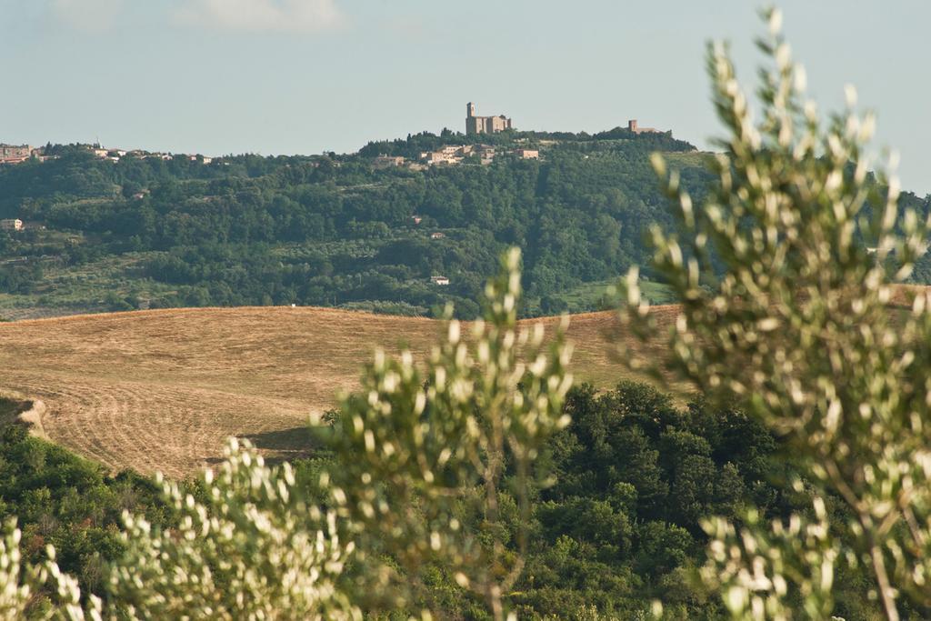 Agriturismo Podere Campaini โวลแตร์รา ภายนอก รูปภาพ