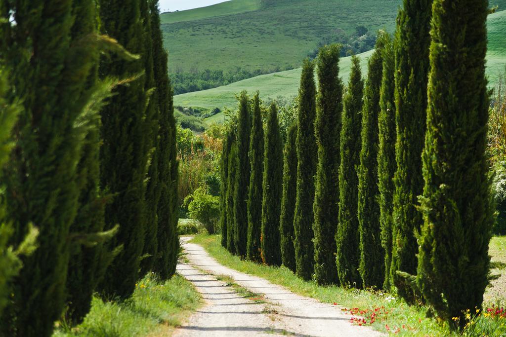 Agriturismo Podere Campaini โวลแตร์รา ภายนอก รูปภาพ